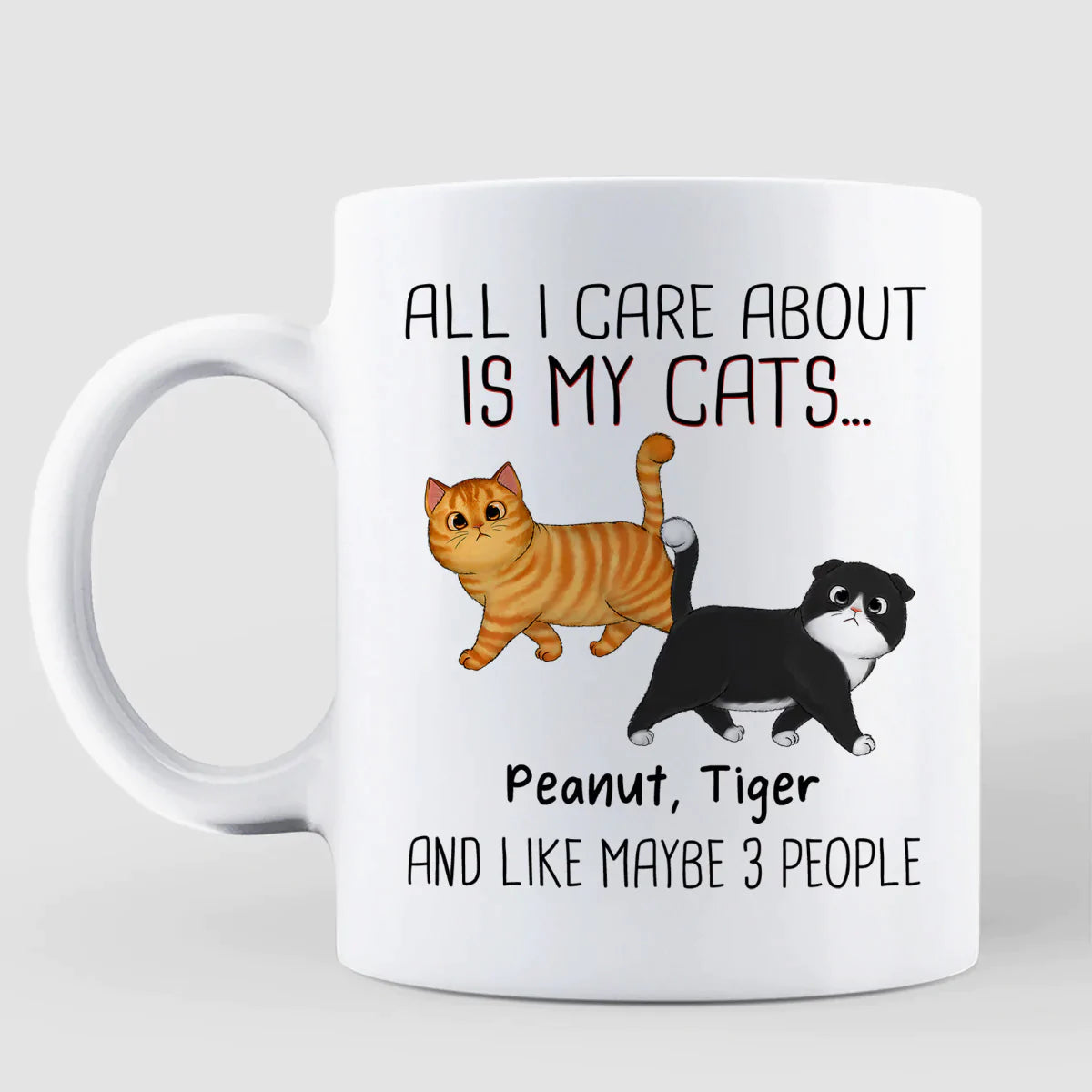 For Cat Lovers