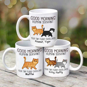 Walking Fluffy Cats Good Morning Cat Human Servant Personalized Mug