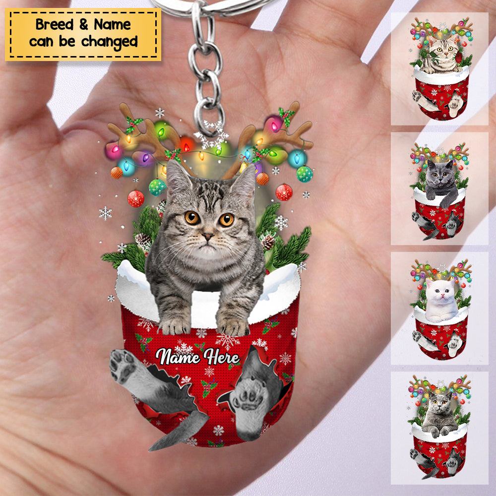 Cat In Snow Pocket Personalized Christmas Acrylic Keychain