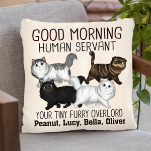 Walking Fluffy Cats Good Morning Cat Human Servant Personalized Pillow