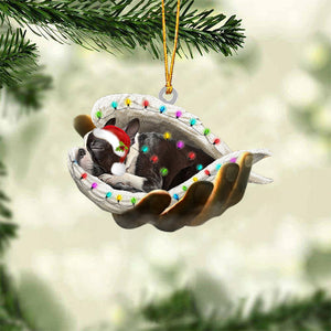 Boston terrier Sleeping Angel In God Hand Christmas Ornament