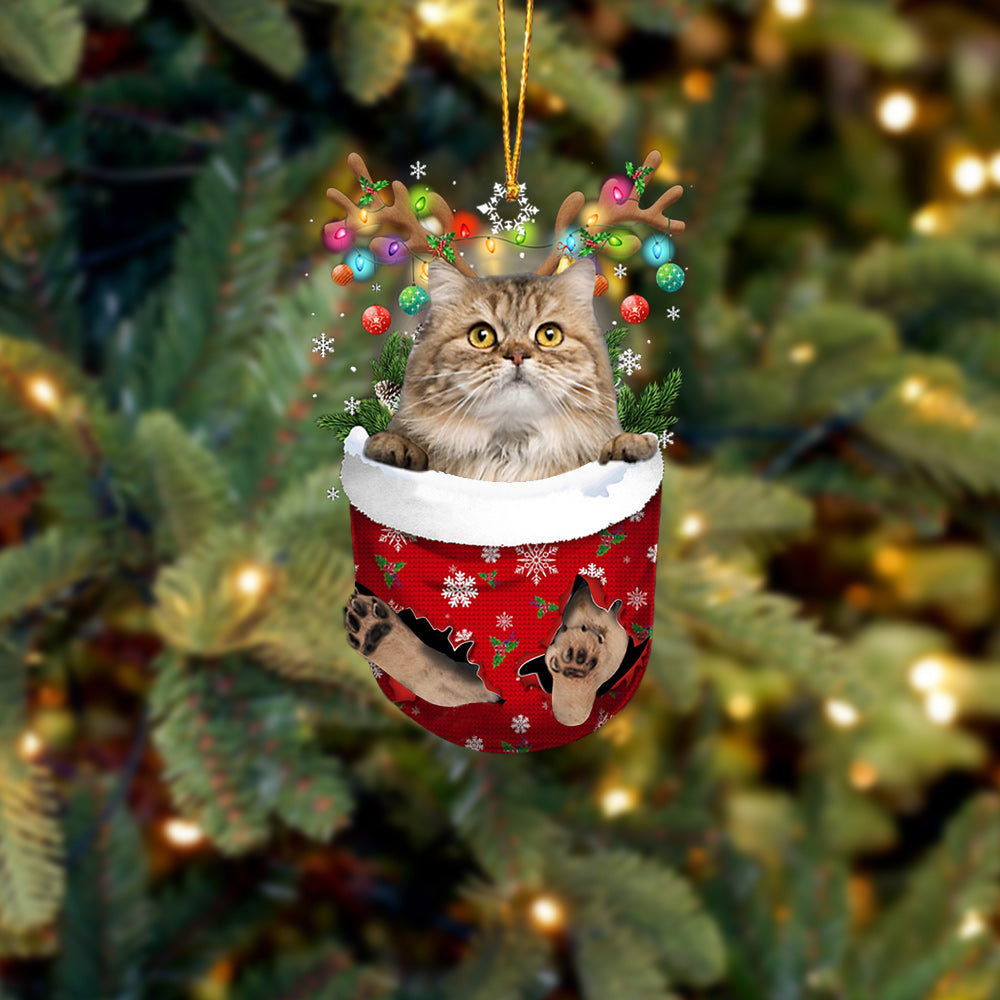 Cat 16 In Snow Pocket Christmas Ornament