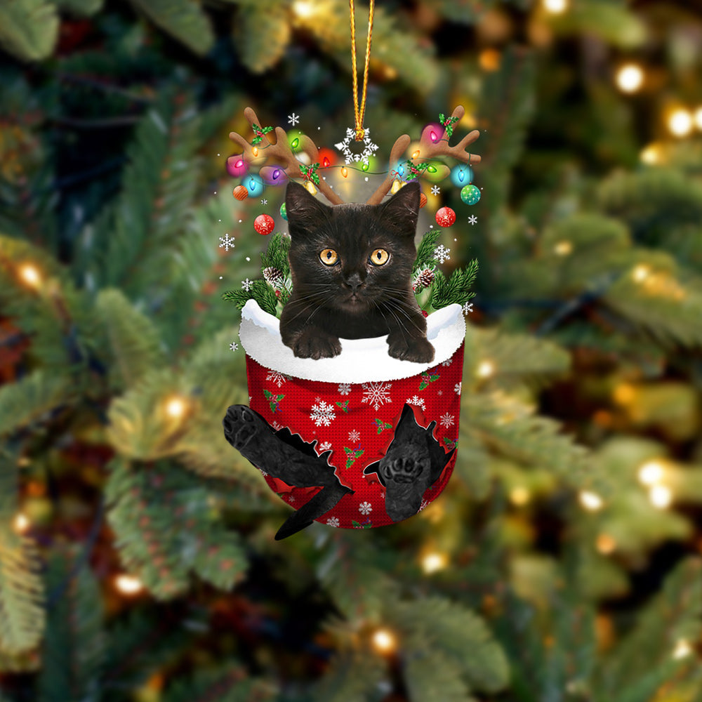 Cat 12 In Snow Pocket Christmas Ornament