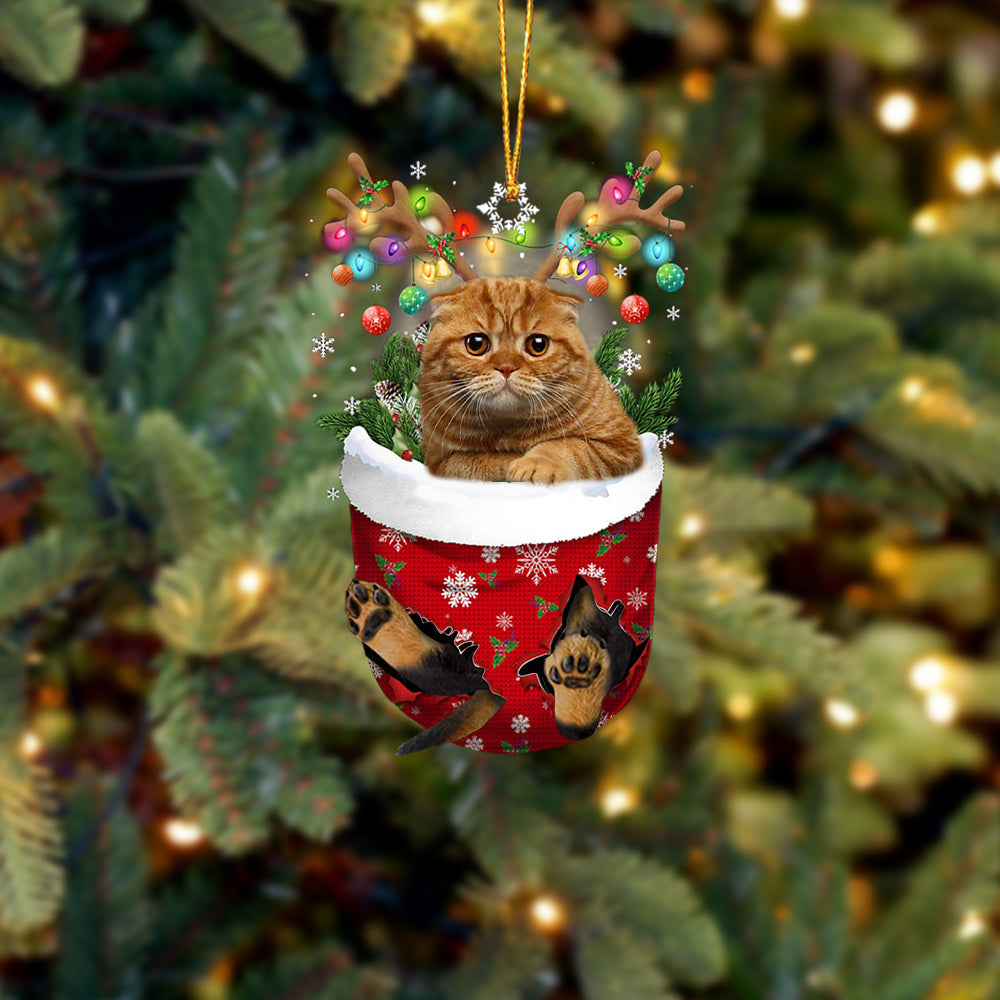 Cat 27 In Snow Pocket Christmas Ornament