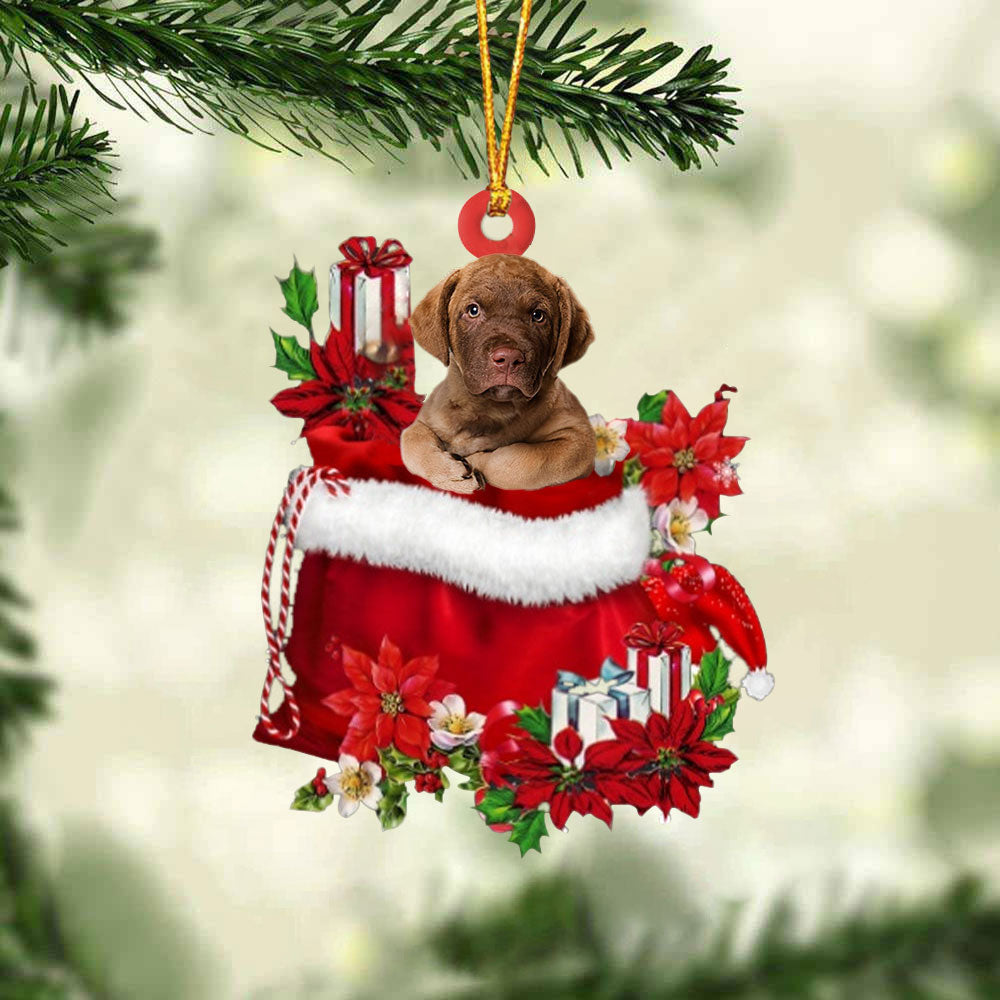 Chesapeake Bay Retriever In Gift Bag Christmas Ornament