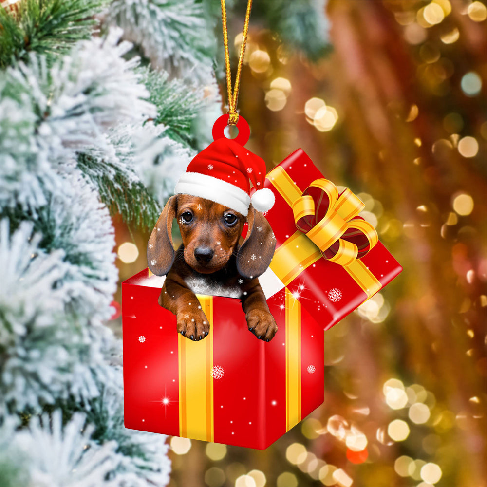 Dachshund In Red Gift Box Christmas Ornament