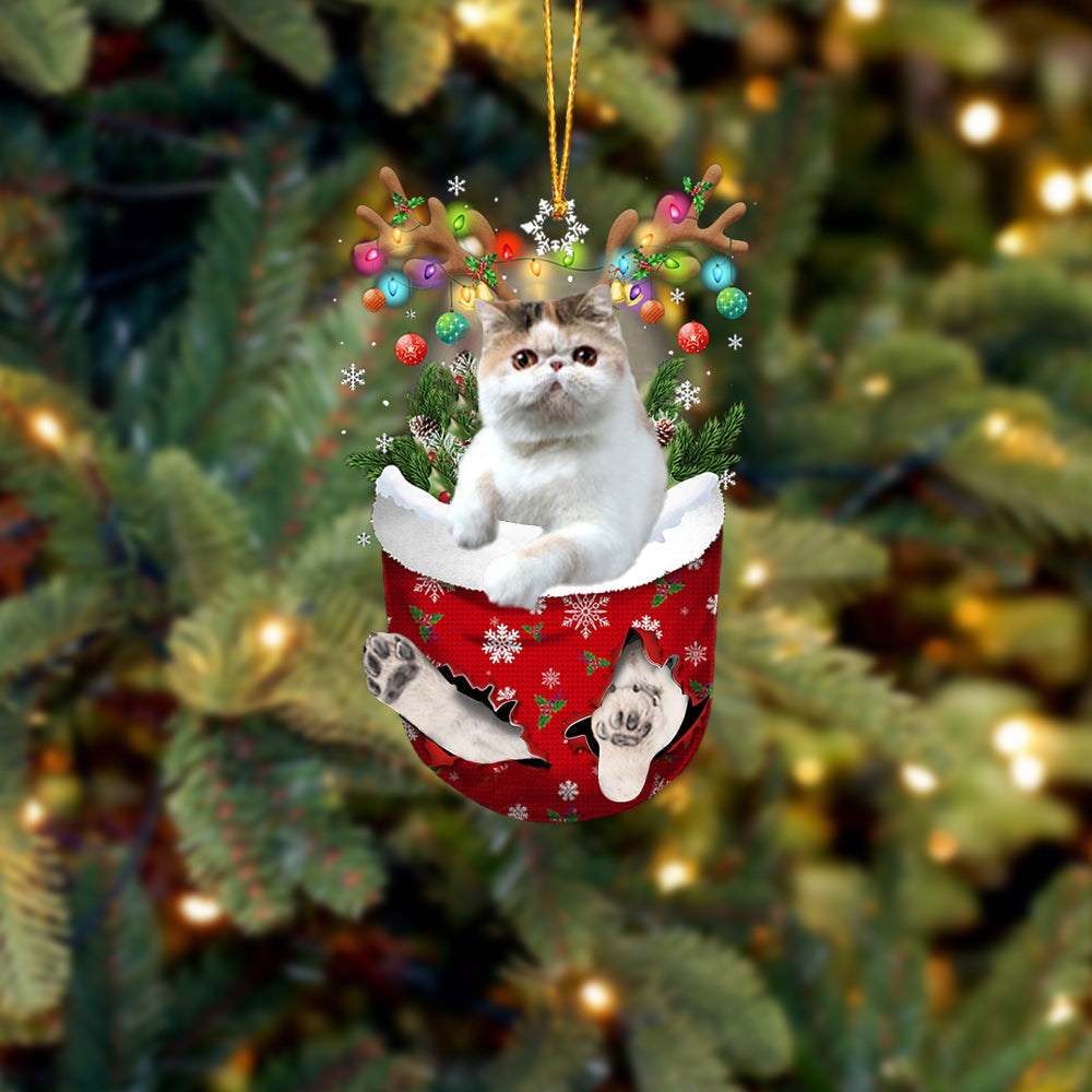 Exotic Shorthair In Snow Pocket Christmas Ornament