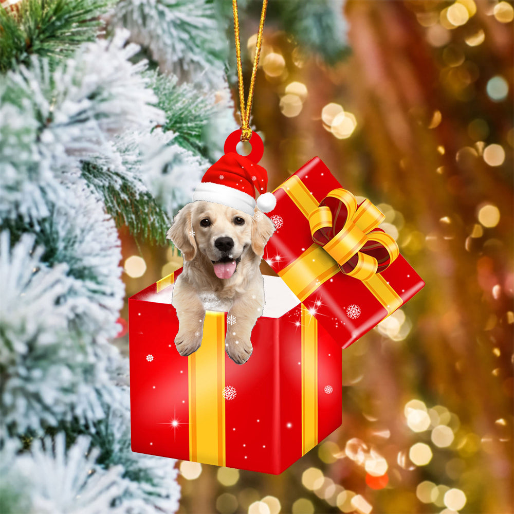 Golden Retriever 2 In Red Gift Box Christmas Ornament