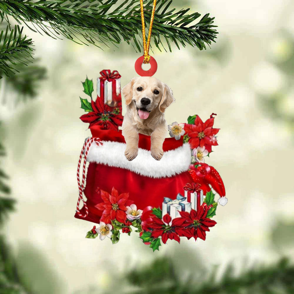 Golden Retriever 2 In Gift Bag Christmas Ornament