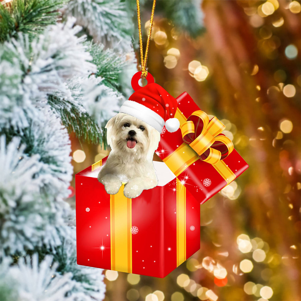 Maltese In Red Gift Box Christmas Ornament