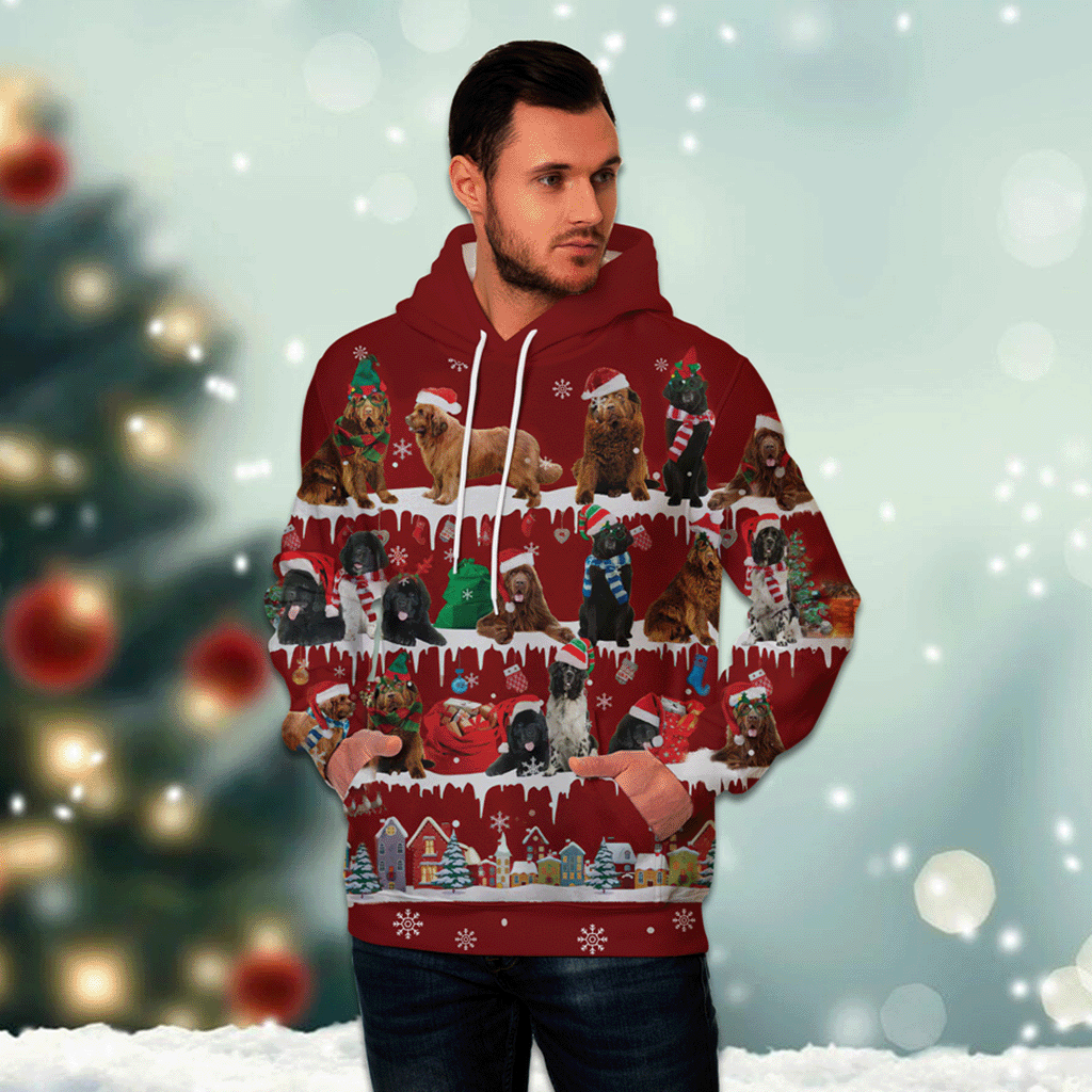 Newfoundland - Snow Christmas - 3D Hoodie