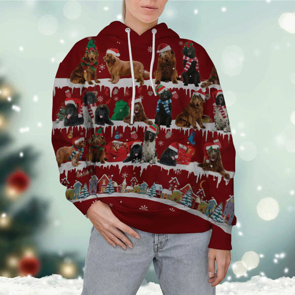 Newfoundland - Snow Christmas - 3D Hoodie