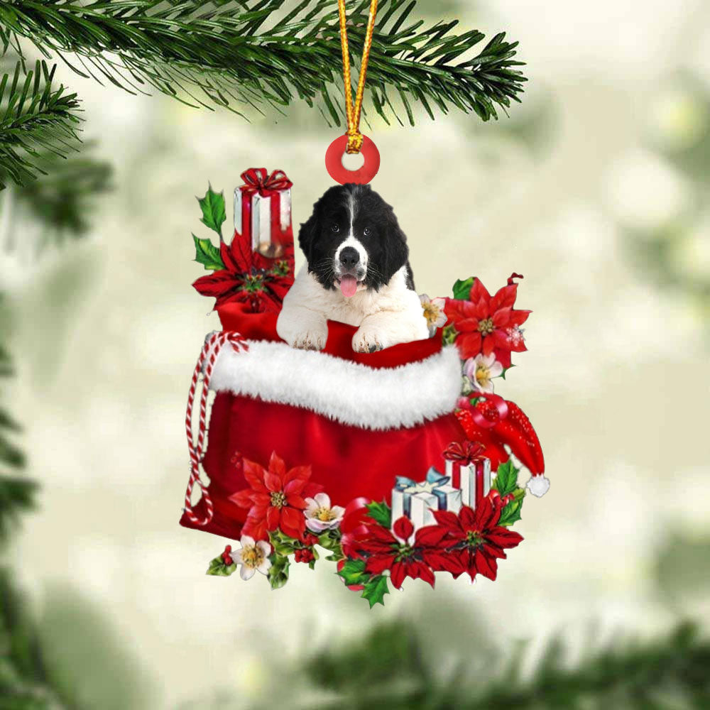 Newfoundland In Gift Bag Christmas Ornament