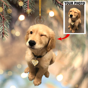 Personalized Upload Photo Pet Christmas Ornament