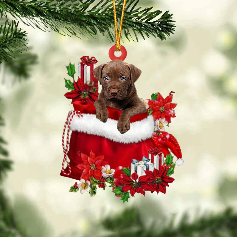 Pitbull 2 In Gift Bag Christmas Ornament