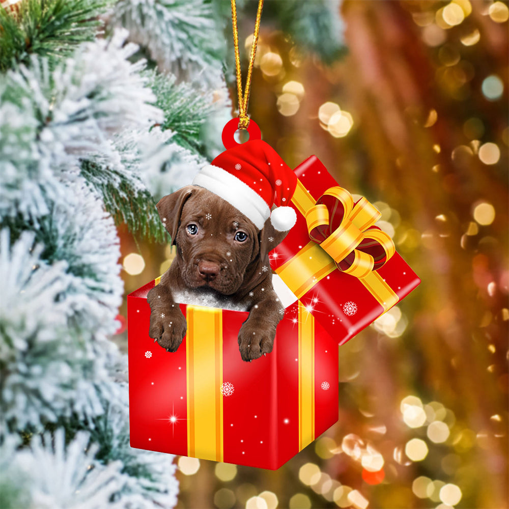 Pitbull 2In Red Gift Box Christmas Ornament