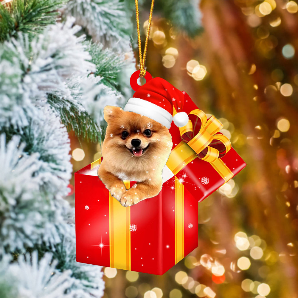 Pomeranian. In Red Gift Box Christmas Ornament
