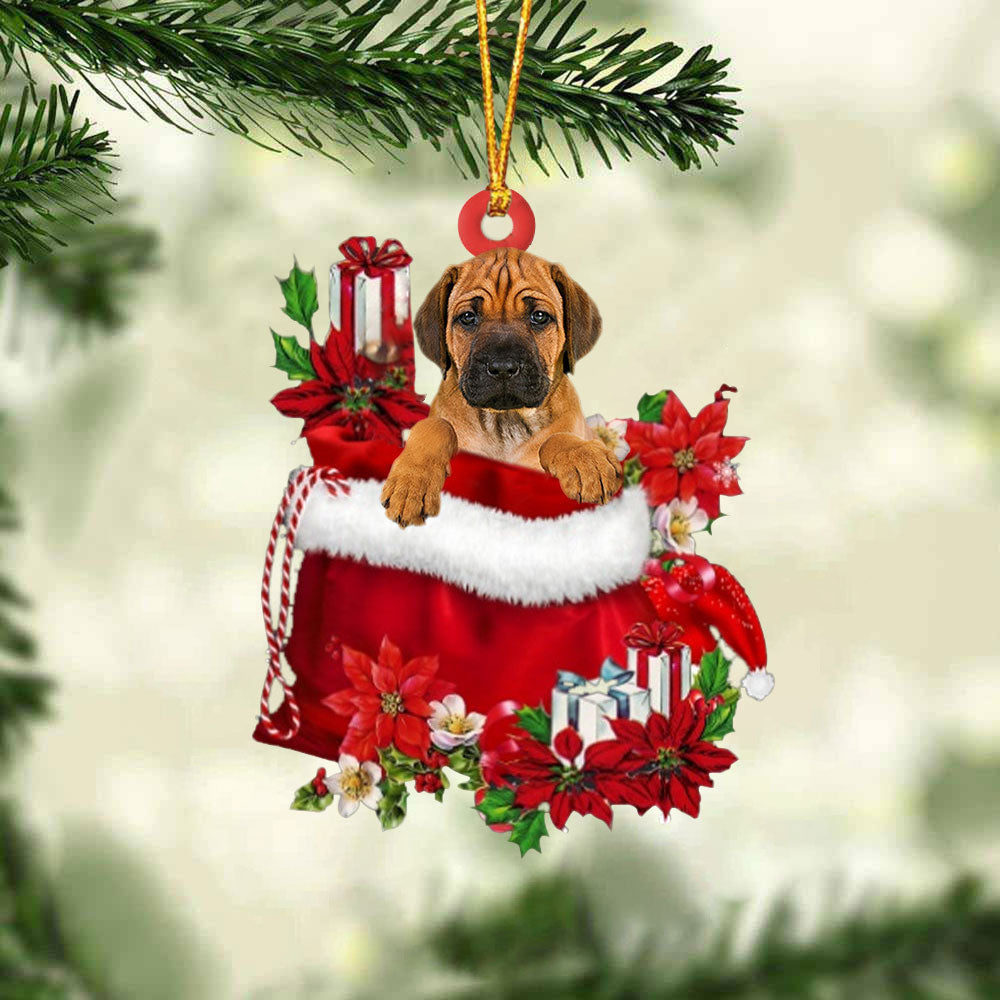 Rhodesian Ridgeback In Gift Bag Christmas Ornament