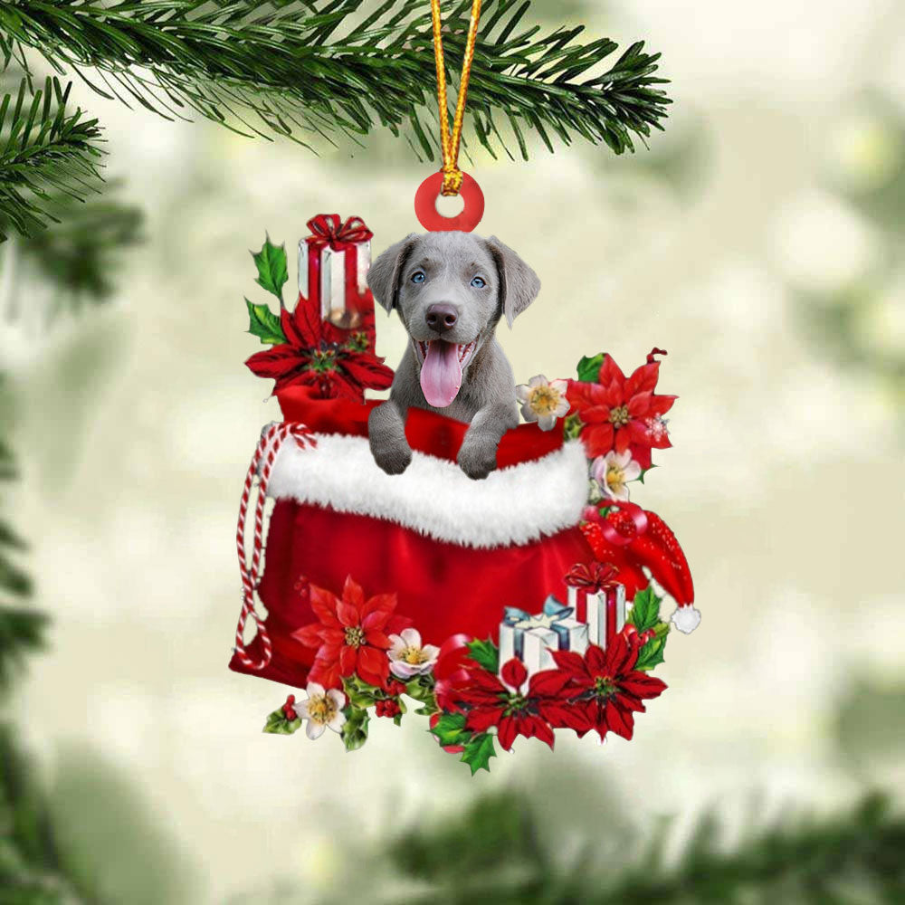 Weimaraner02 In Gift Bag Christmas Ornament