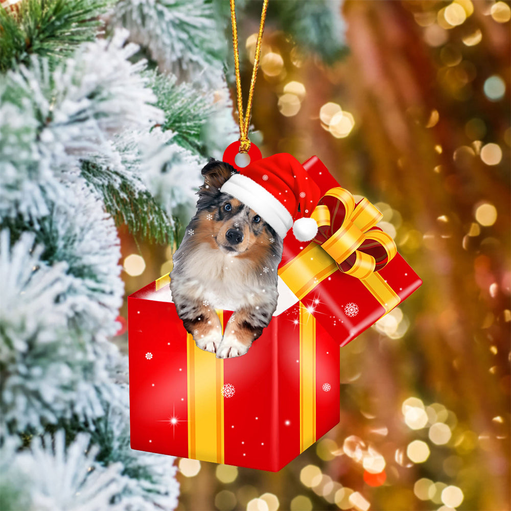Shetland Sheepdog In Red Gift Box Christmas Ornament