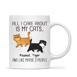 Walking Fluffy Cats Gift For Cat Lovers Personalized Mug